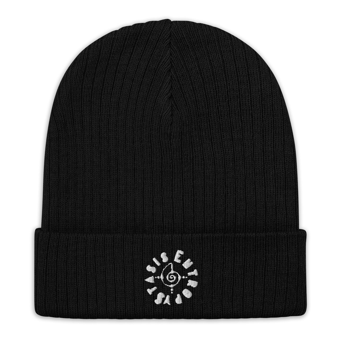 OG Stasis Ribbed Beanie